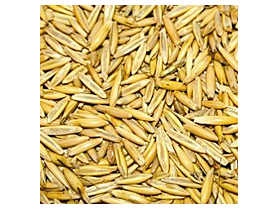 Неочищенная пшеница кормовая для животных