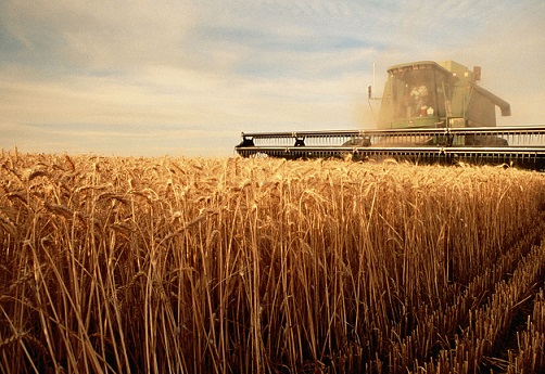 нет изображения