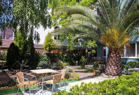 нет изображения