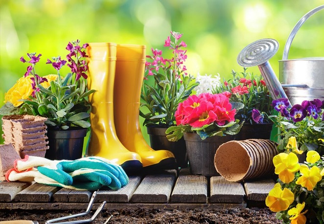 нет изображения