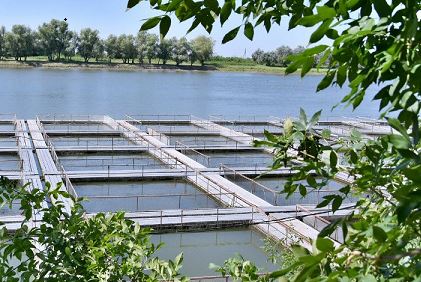 нет изображения