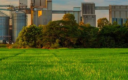 нет изображения