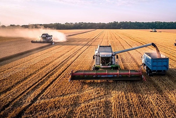 нет изображения