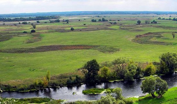 нет изображения