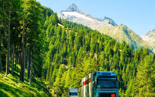 нет изображения