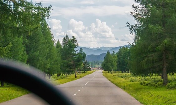 нет изображения