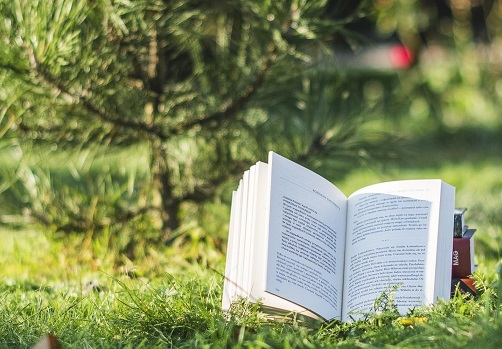 нет изображения