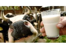 Молоко натуральное коровье