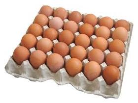 Яйцо куриное пищевое «Птицекомплекс Альянс»