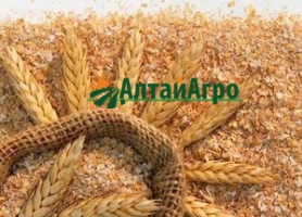 Отруби пищевые пшеничные