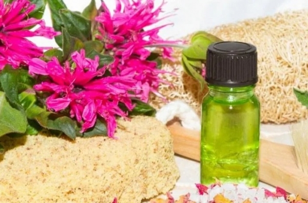 масло и экстракт монарды от производителя, подходит для маркетплейс