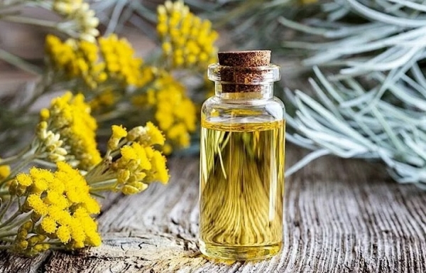 Бессмертник, экстракт